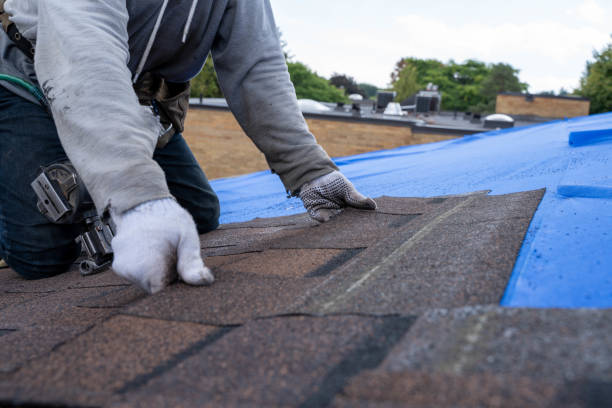 Best Flat Roof Repair Services  in Jnstown, OH